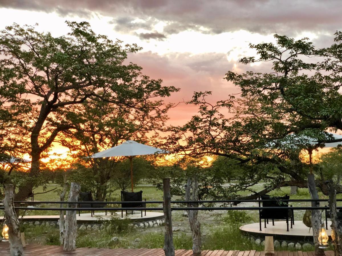 Etosha Oberland Lodge Okaukuejo Luaran gambar
